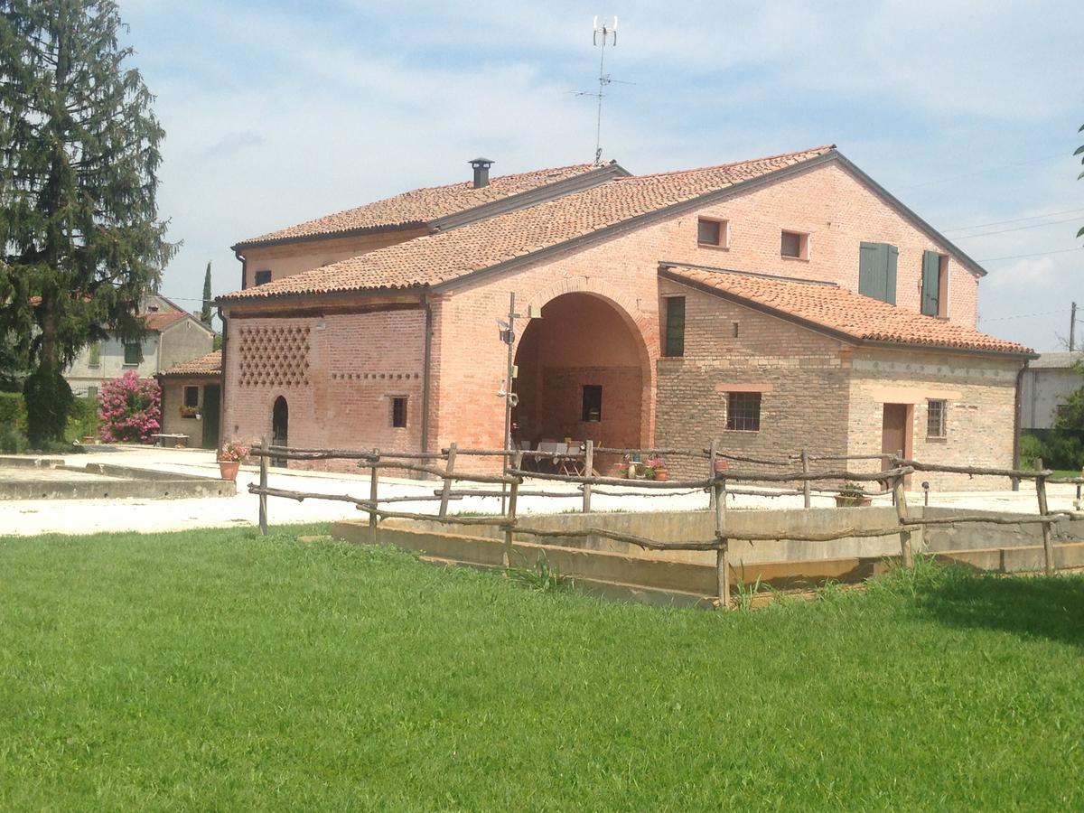 Olianina